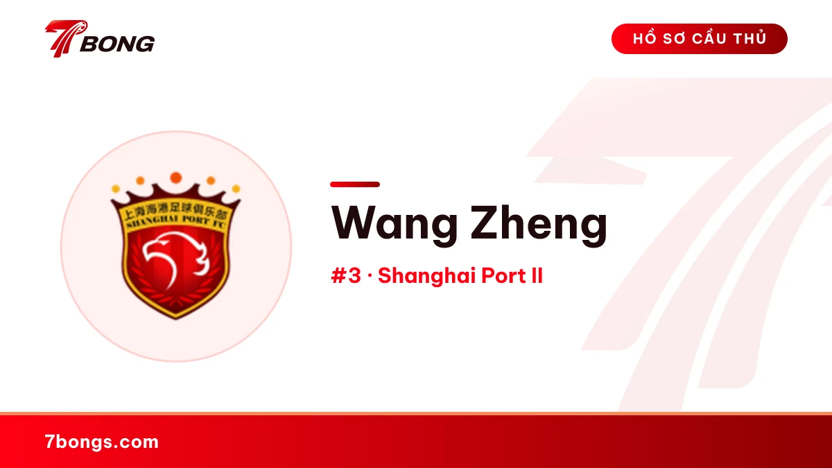 Wang Zheng — Shanghai Port II