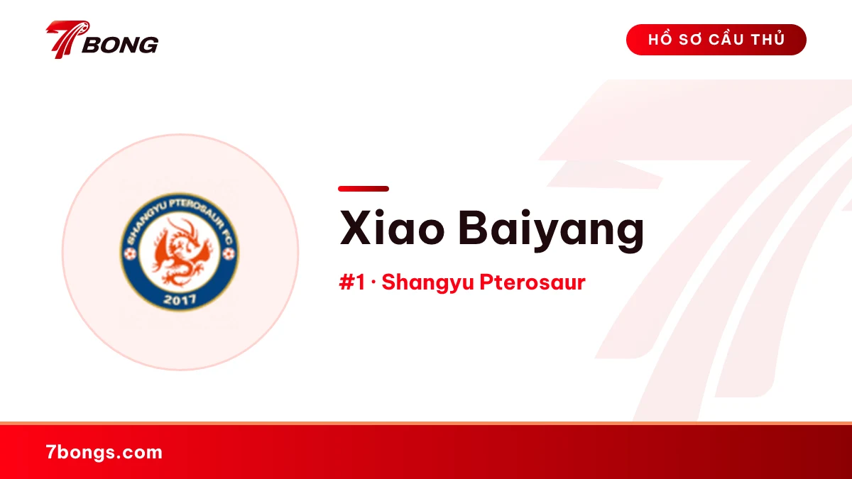 Xiao Baiyang — Shangyu Pterosaur