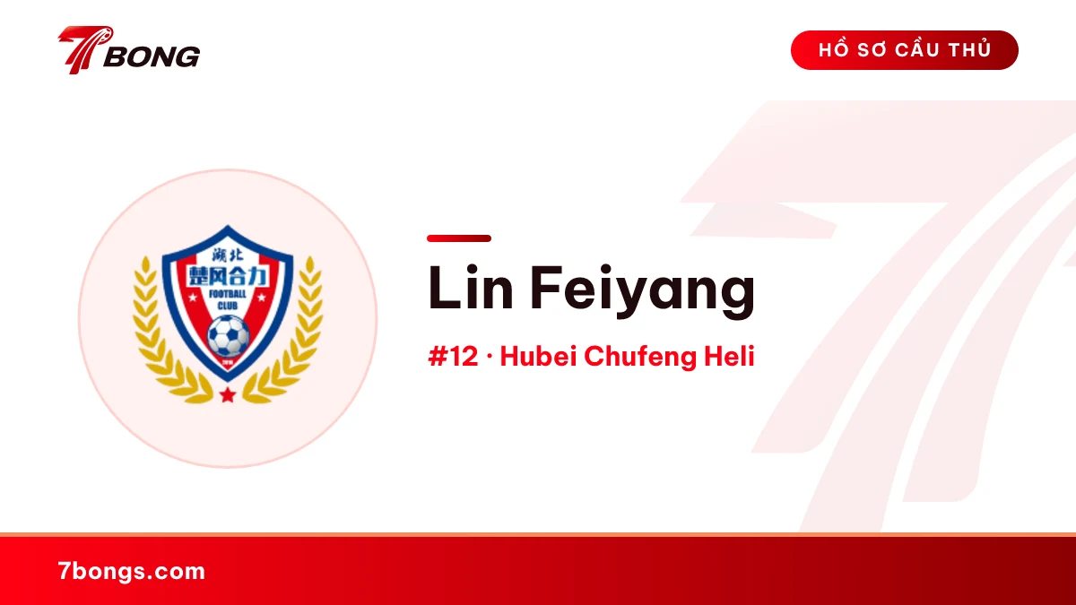 Lin Feiyang — Hubei Chufeng Heli