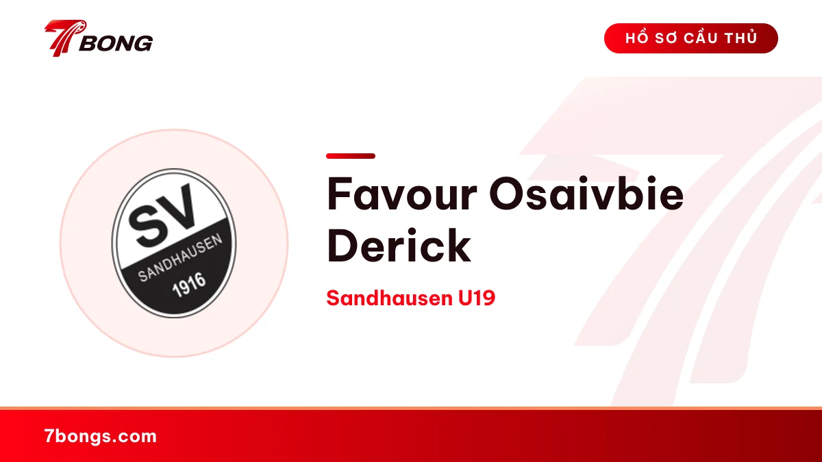 Favour Osaivbie Derick — Sandhausen U19