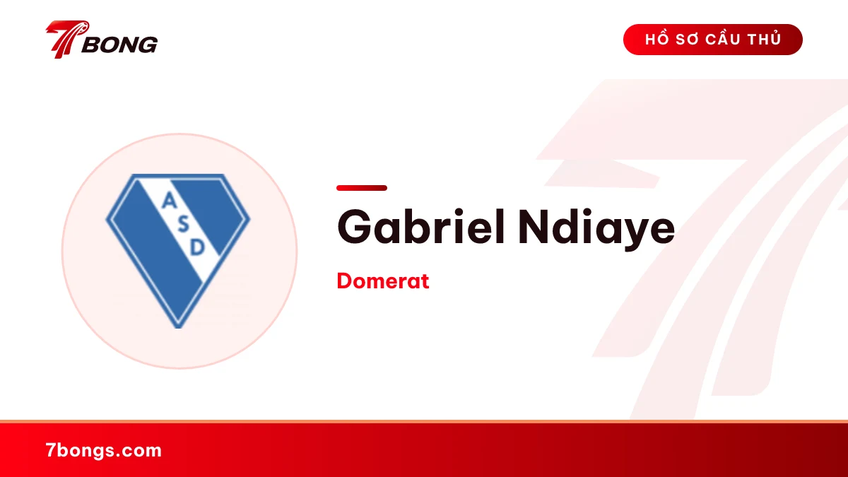 Gabriel Ndiaye — Domerat