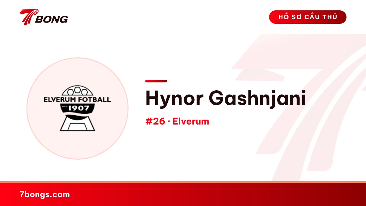 Hynor Gashnjani — Elverum