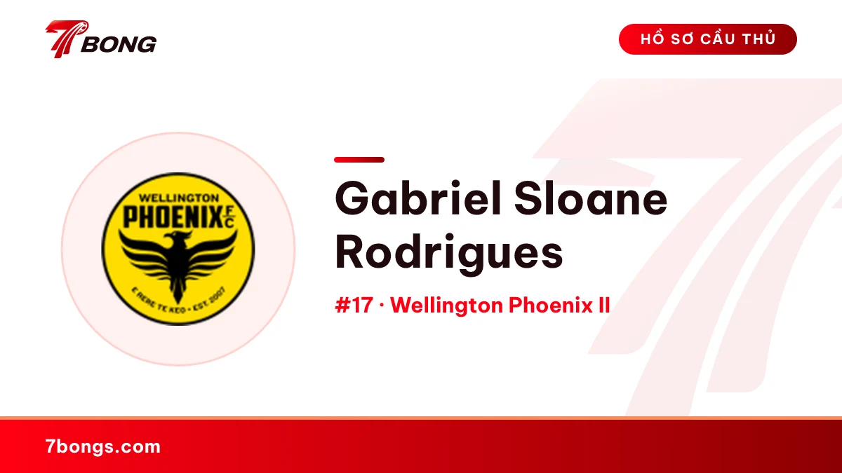 Gabriel Sloane Rodrigues — Wellington Phoenix II