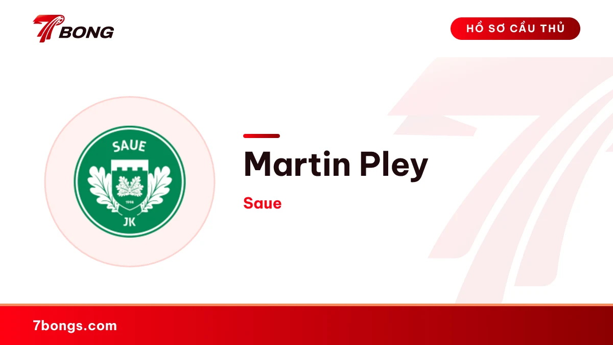 Martin Pley — Saue