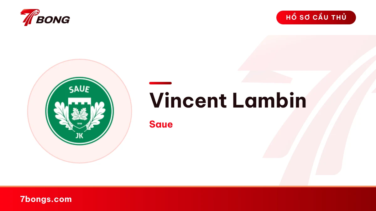 Vincent Lambin — Saue
