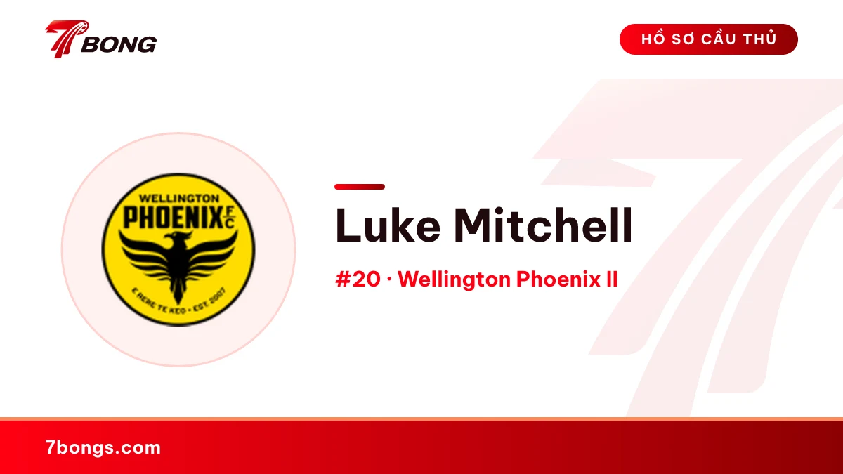 Luke Mitchell — Wellington Phoenix II