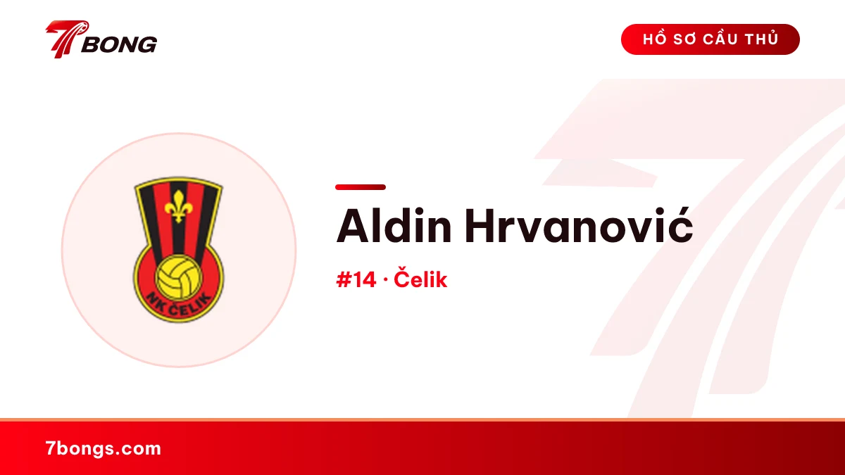 Aldin Hrvanović — Čelik