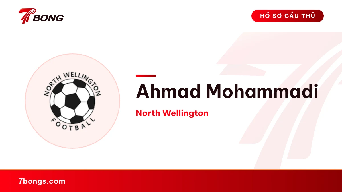 Ahmad Mohammadi — North Wellington