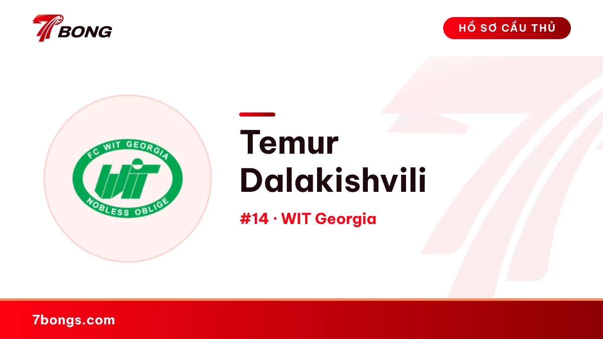 Temur Dalakishvili — WIT Georgia