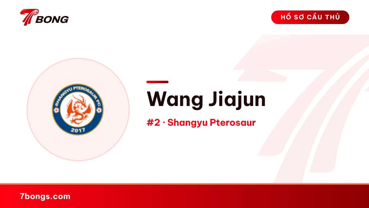 Wang Jiajun — Shangyu Pterosaur