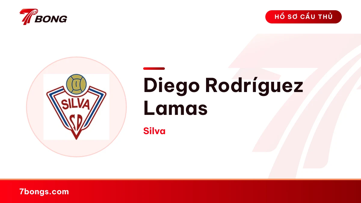 Diego Rodríguez Lamas — Silva