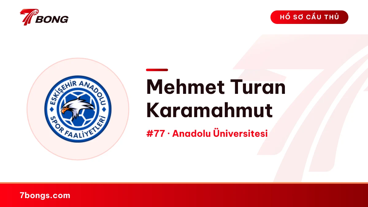 Mehmet Turan Karamahmut — Anadolu Üniversitesi