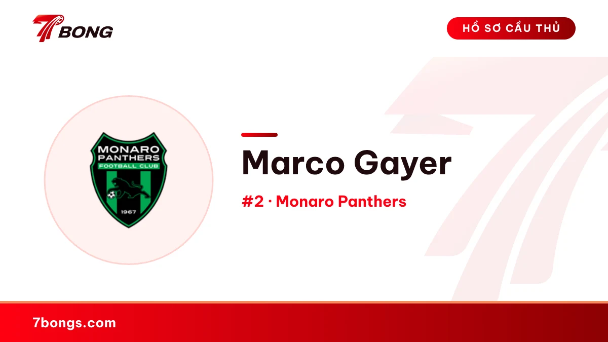Marco Gayer — Monaro Panthers