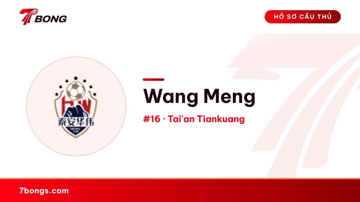 Wang Meng — Tai'an Tiankuang
