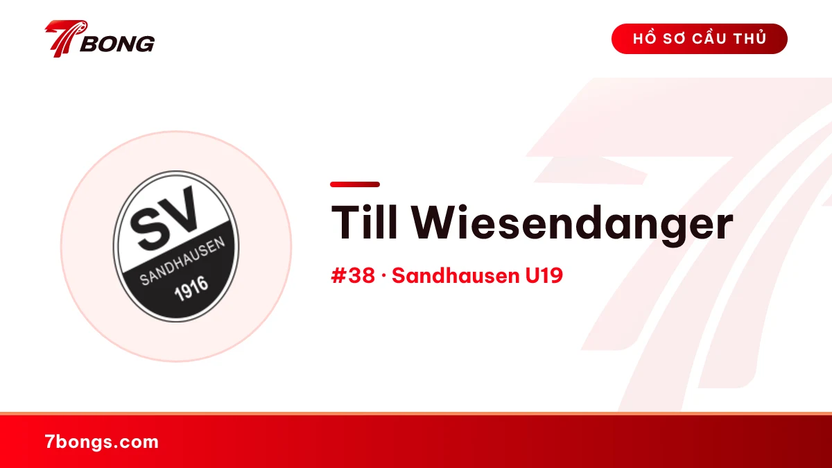 Till Wiesendanger — Sandhausen U19
