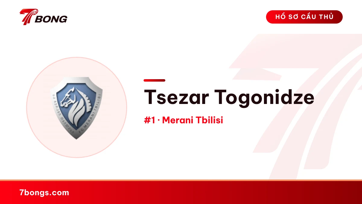 Tsezar Togonidze — Merani Tbilisi