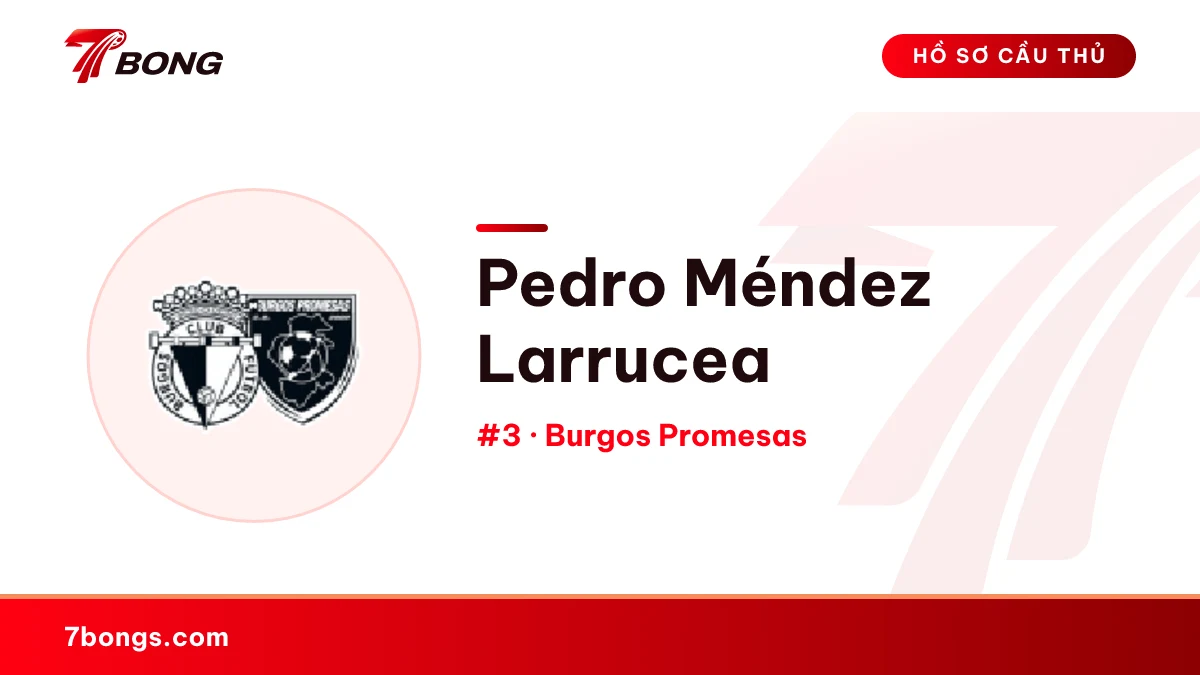 Pedro Méndez Larrucea — Burgos Promesas