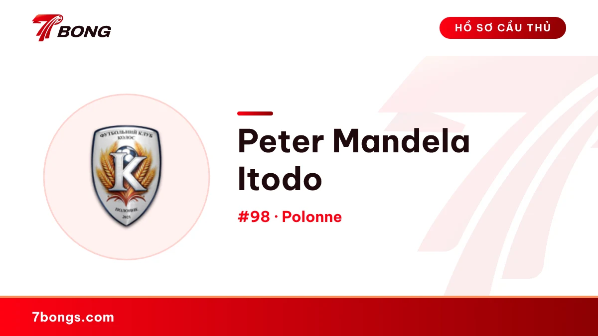 Peter Mandela Itodo — Polonne