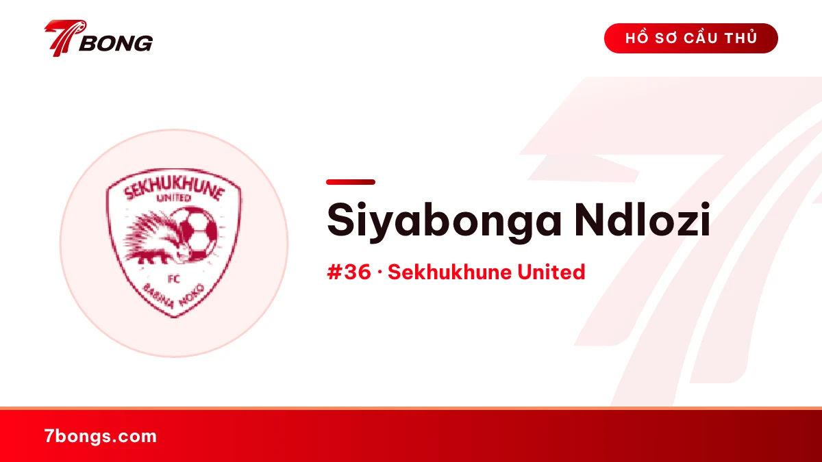 Siyabonga Ndlozi — Sekhukhune United