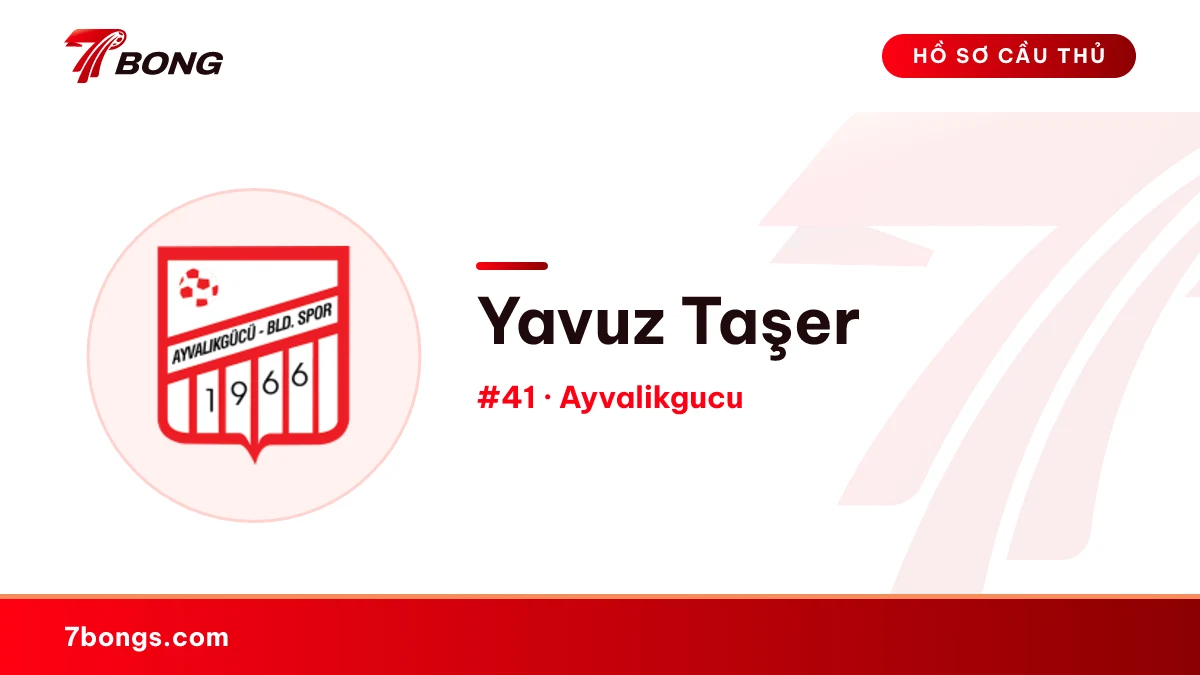 Yavuz Taşer — Ayvalikgucu