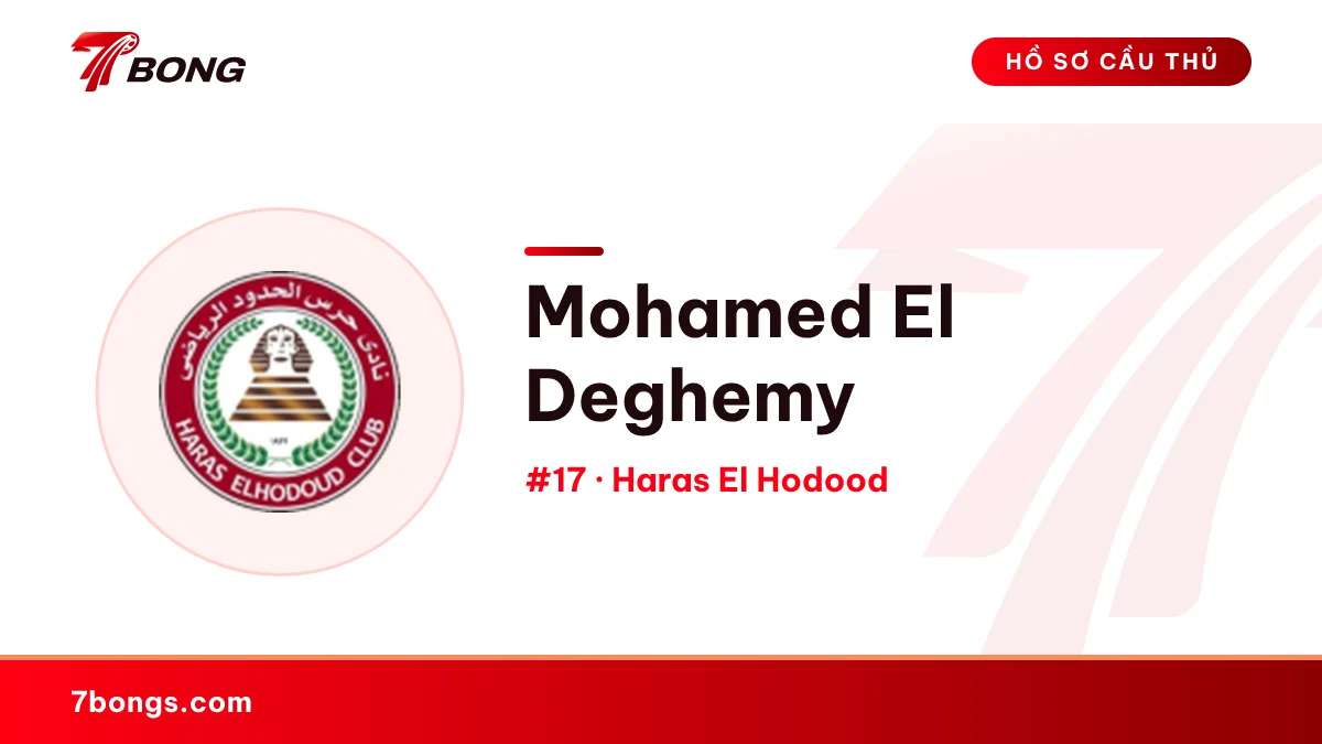 Mohamed El Deghemy — Haras El Hodood