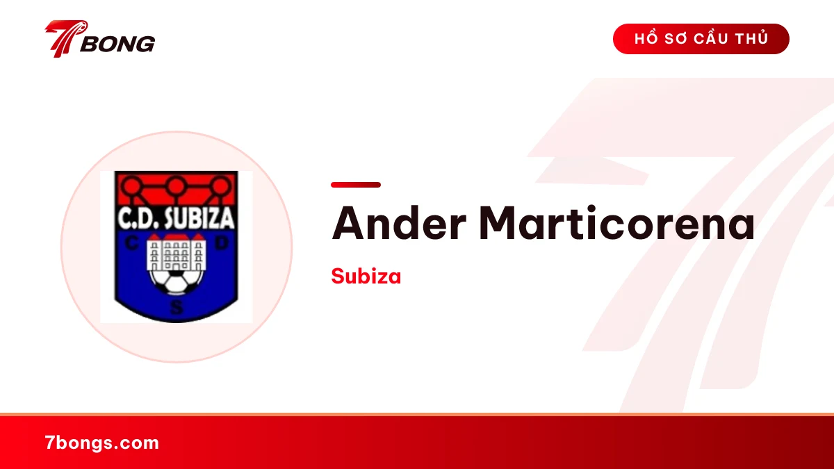 Ander Marticorena — Subiza