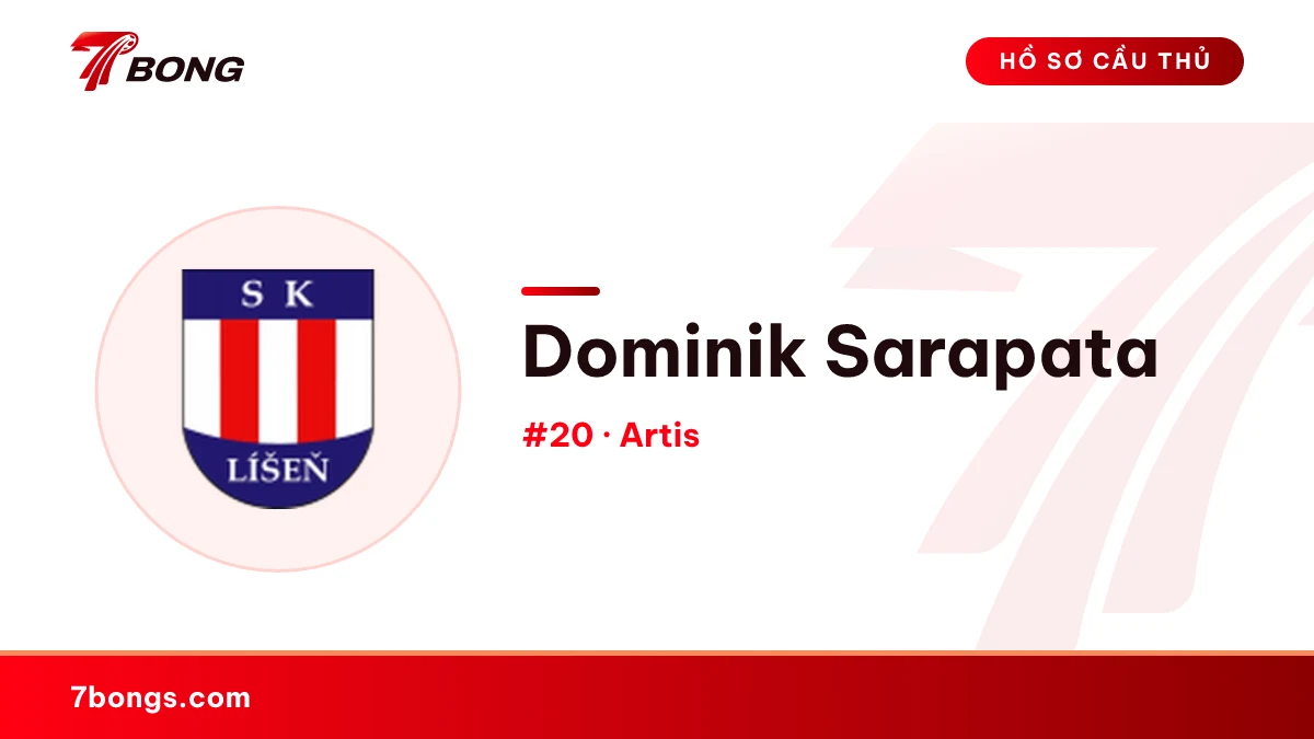 Dominik Sarapata — Artis