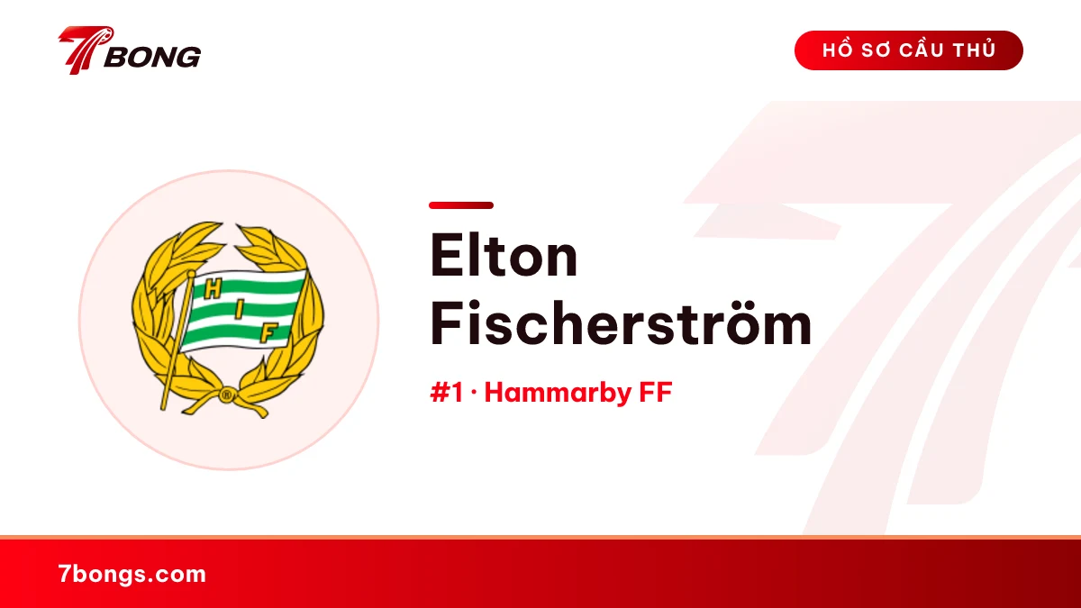 Elton Fischerström — Hammarby FF