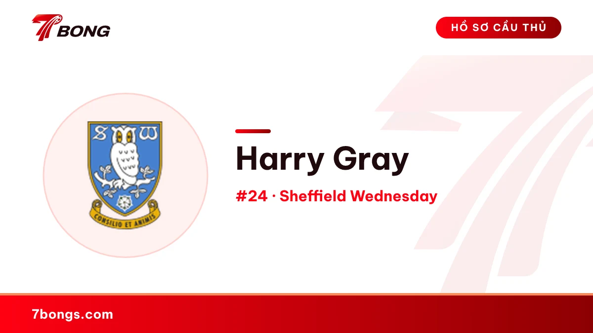 Harry Gray — Sheffield Wednesday