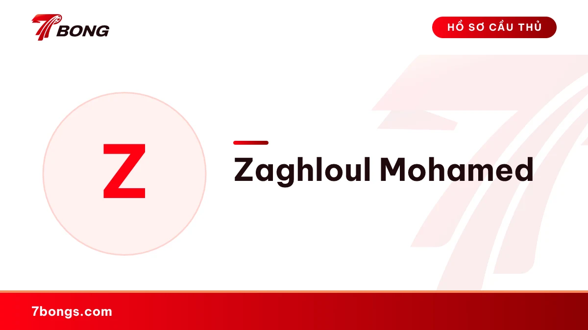 Zaghloul Mohamed