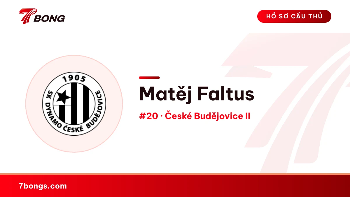 Matěj Faltus — České Budějovice II