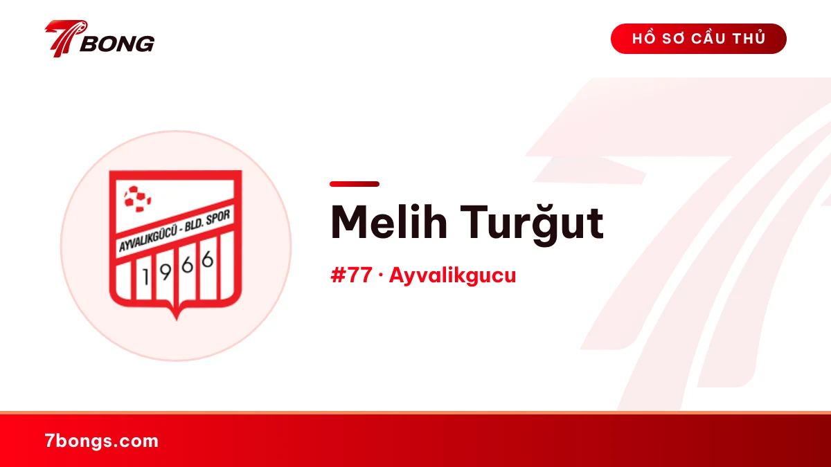 Melih Turğut — Ayvalikgucu