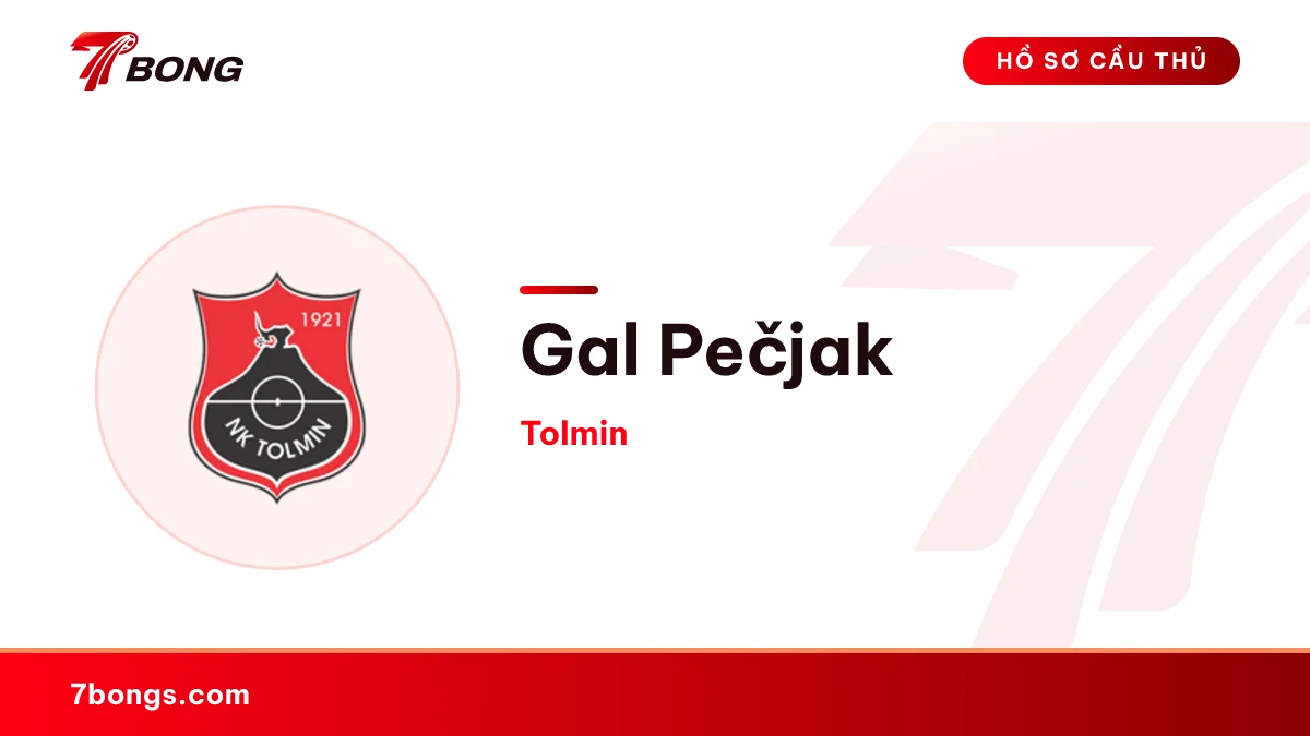 Gal Pečjak — Tolmin