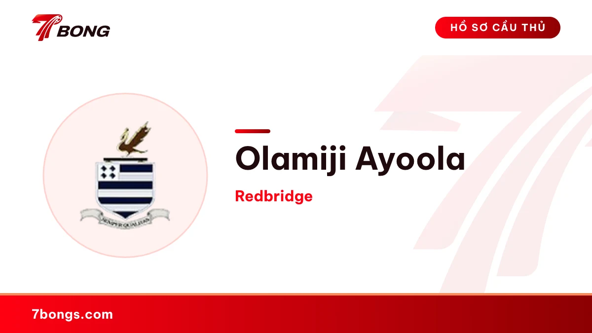Olamiji Ayoola — Redbridge
