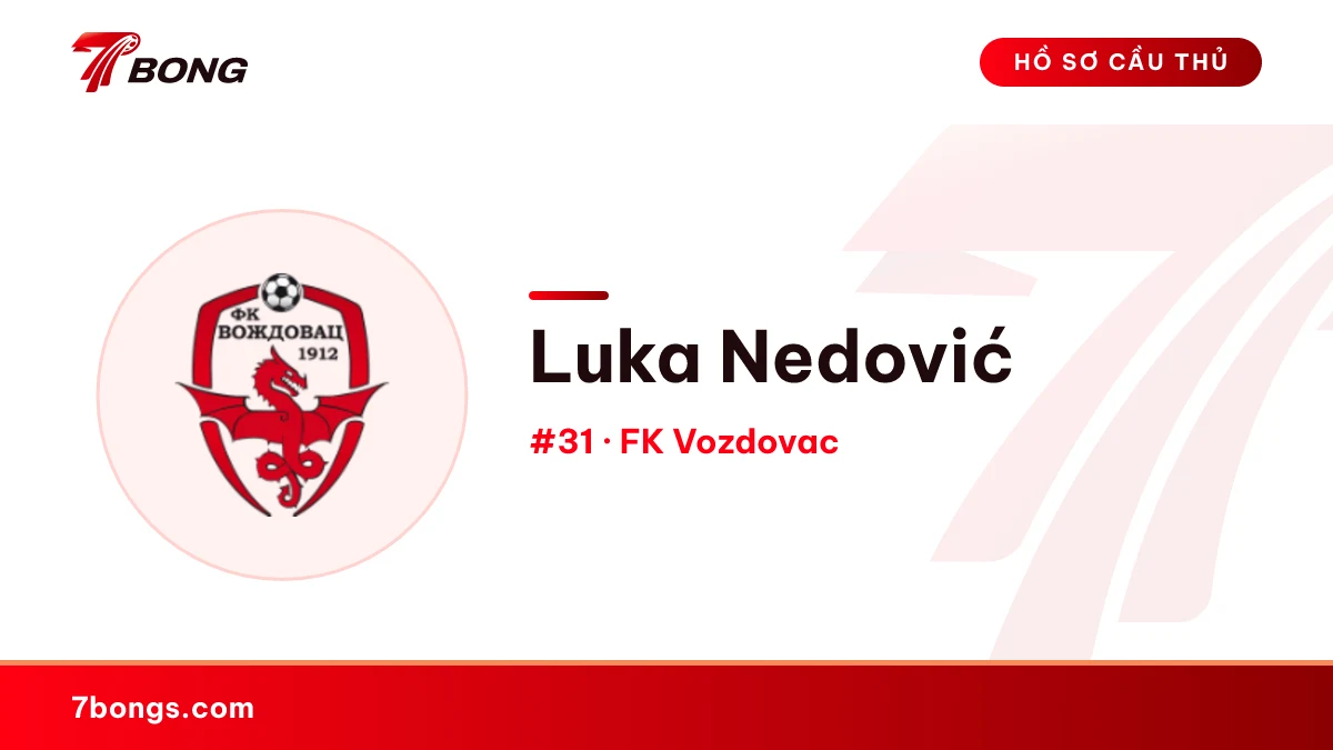 Luka Nedović — FK Vozdovac