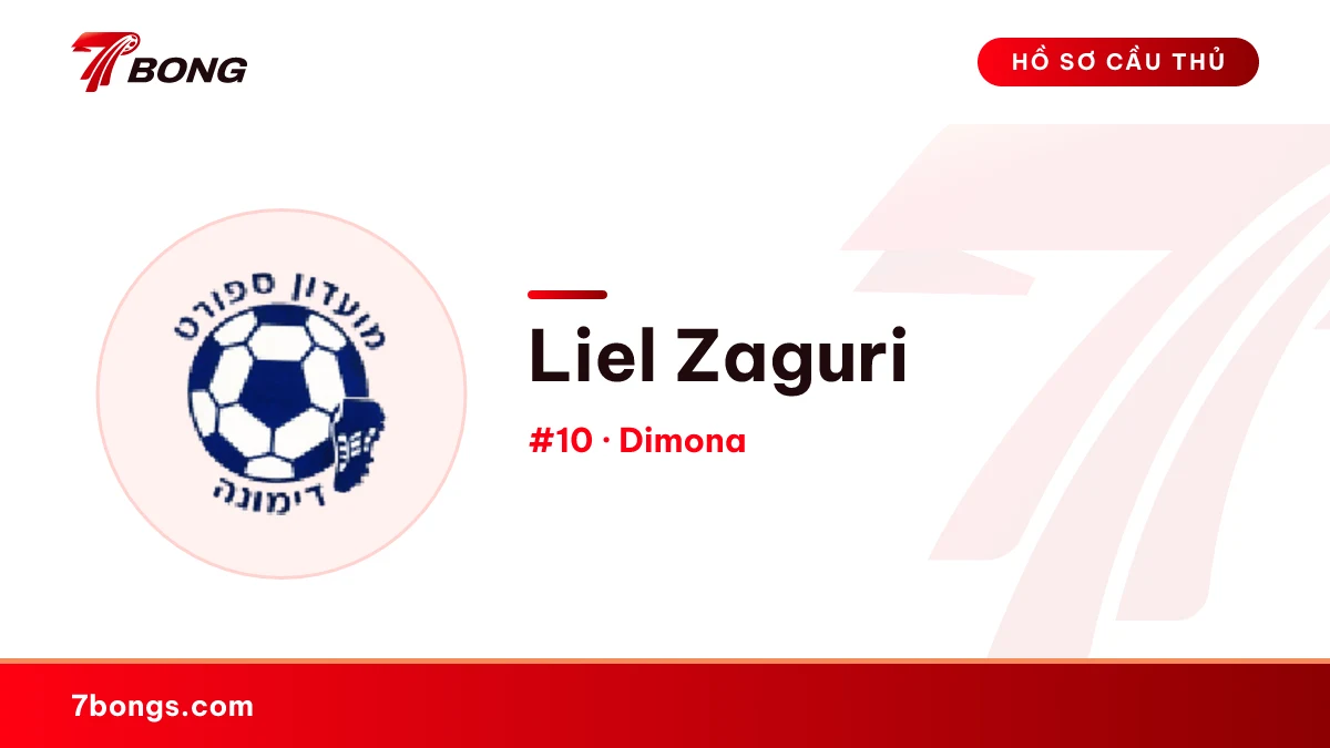 Liel Zaguri — Dimona