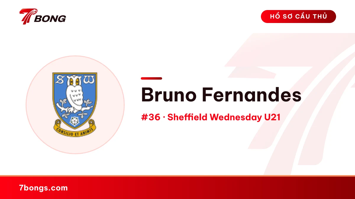Bruno Fernandes — Sheffield Wednesday U21