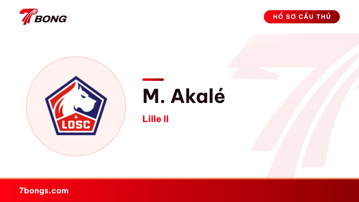M. Akalé — Lille II