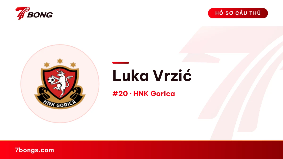 Luka Vrzić — HNK Gorica