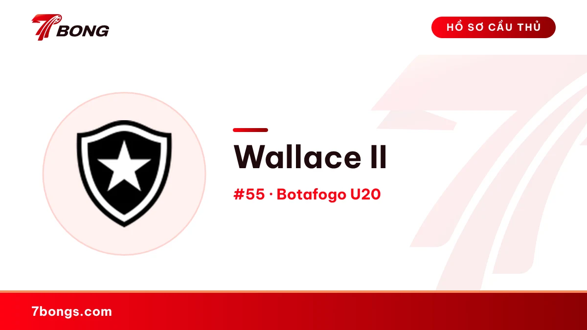 Wallace II — Botafogo U20