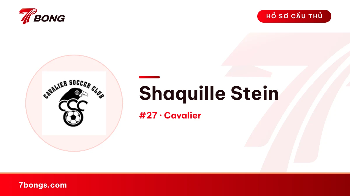 Shaquille Stein — Cavalier