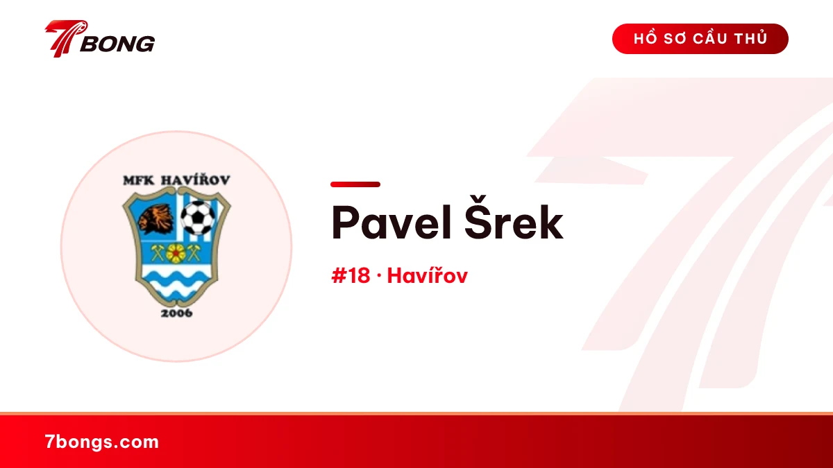 Pavel Šrek — Havířov