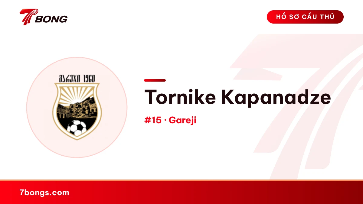Tornike Kapanadze — Gareji