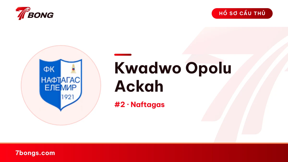 Kwadwo Opolu Ackah — Naftagas
