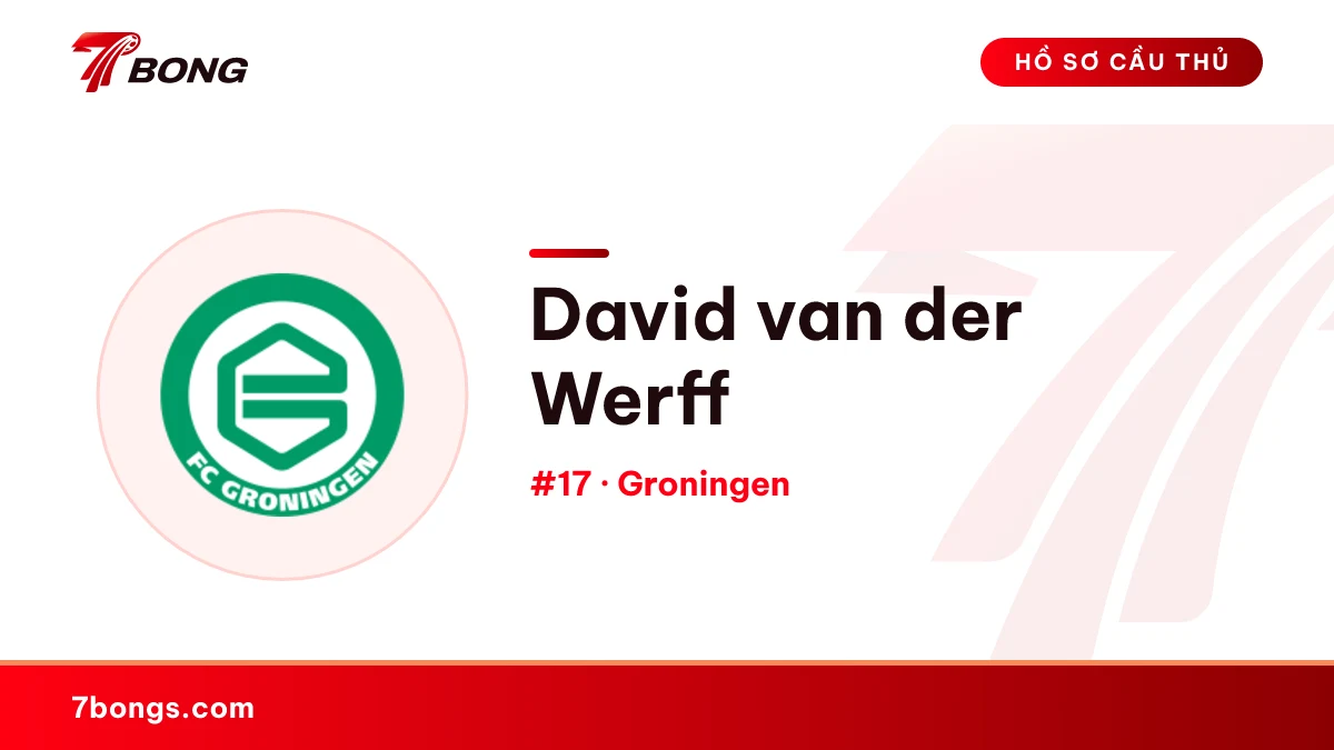 David van der Werff — Groningen