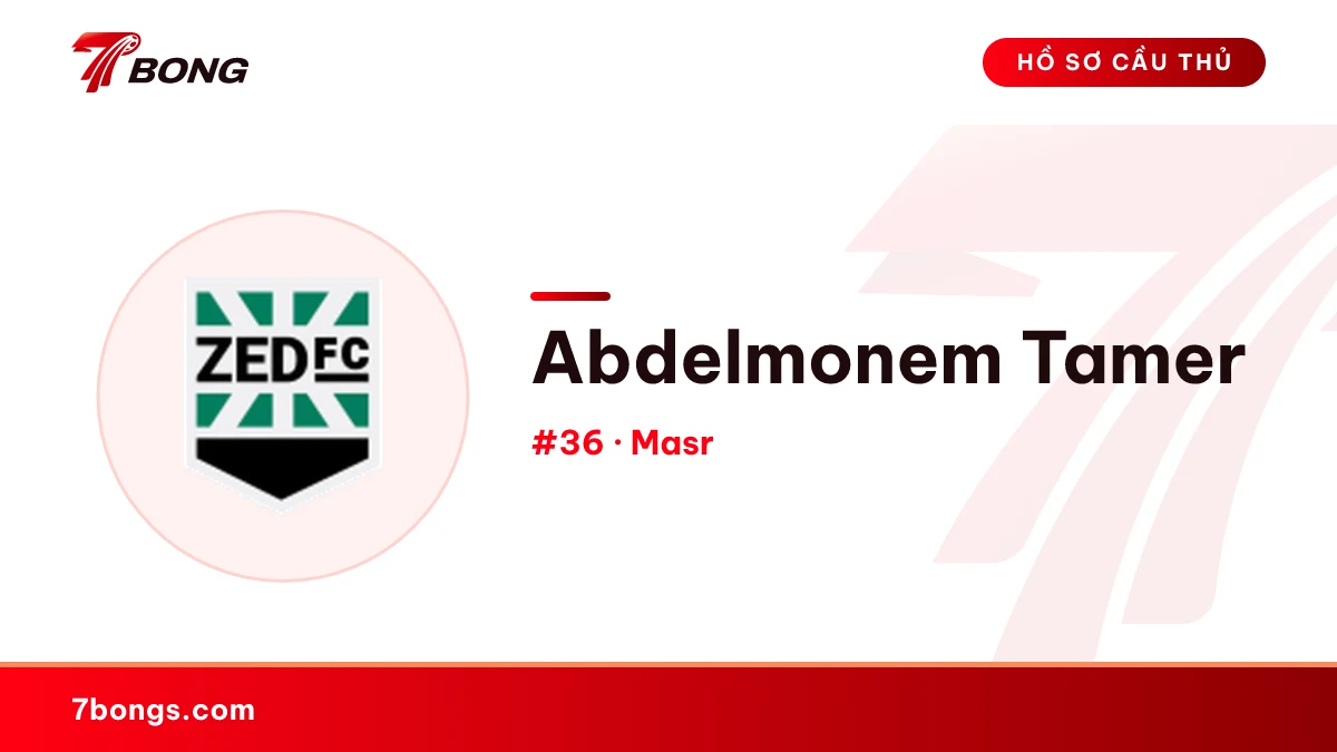 Abdelmonem Tamer — Masr