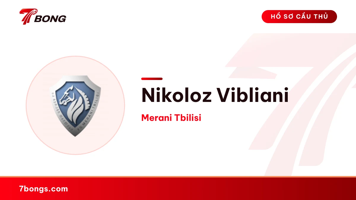 Nikoloz Vibliani — Merani Tbilisi