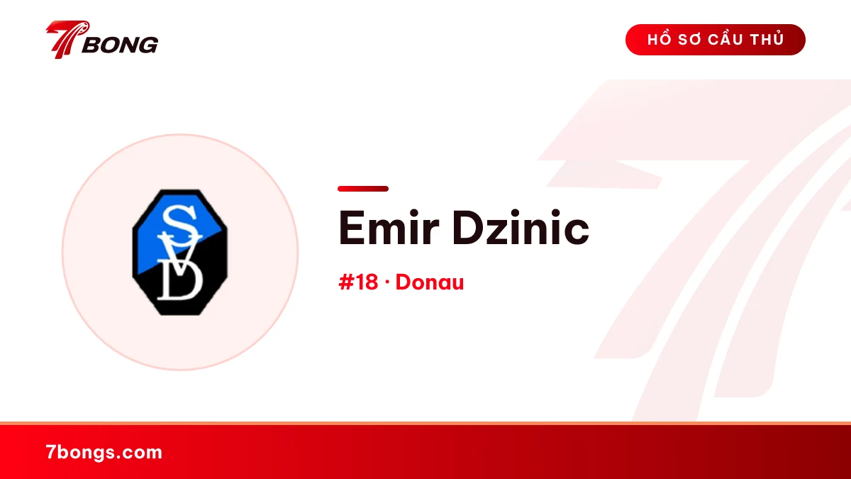 Emir Dzinic — Donau