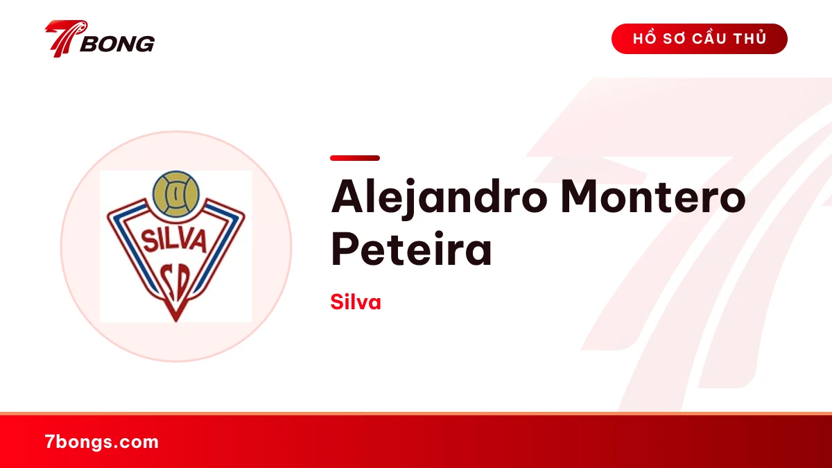 Alejandro Montero Peteira — Silva