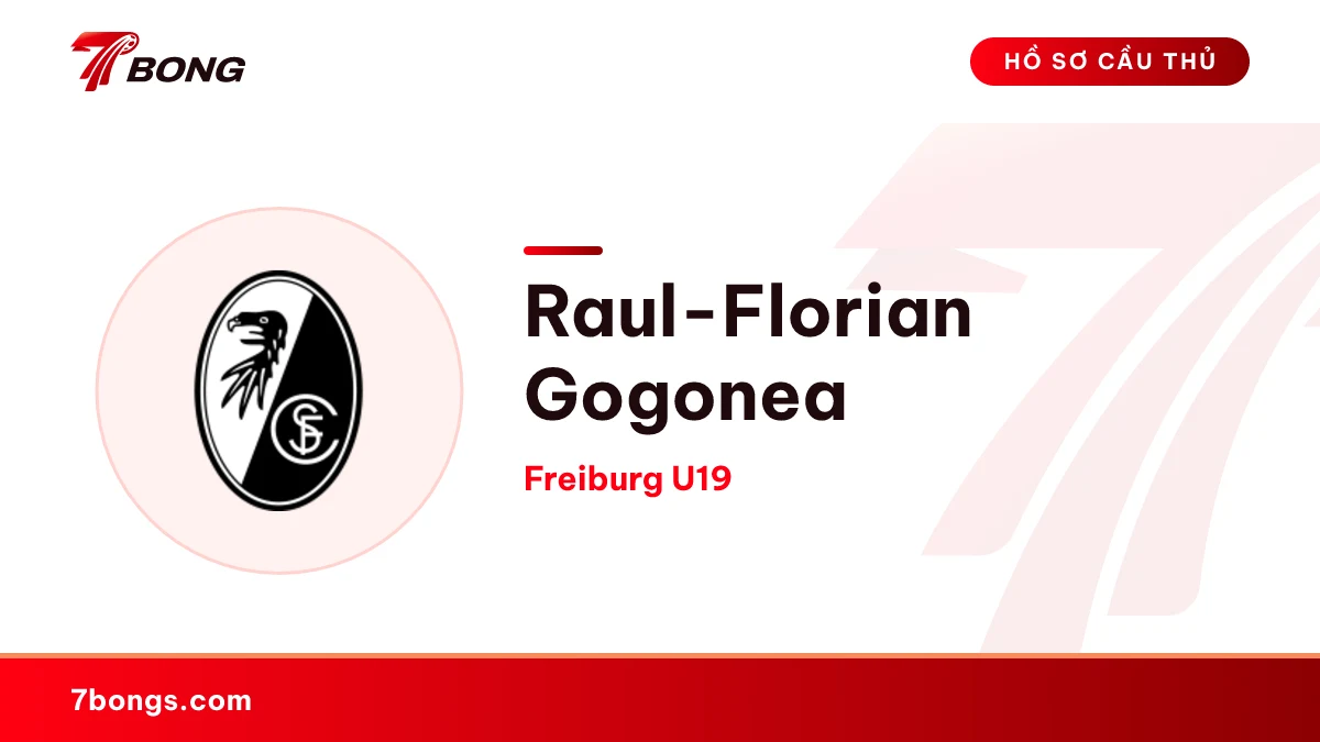 Raul-Florian Gogonea — Freiburg U19